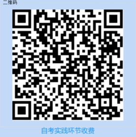 缴费 缴费